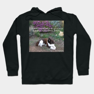 Tuxedo Cat A Well Timed Rest Is As Good as a Hundred Badly Timed Actions - Inspirational Quotes Hoodie